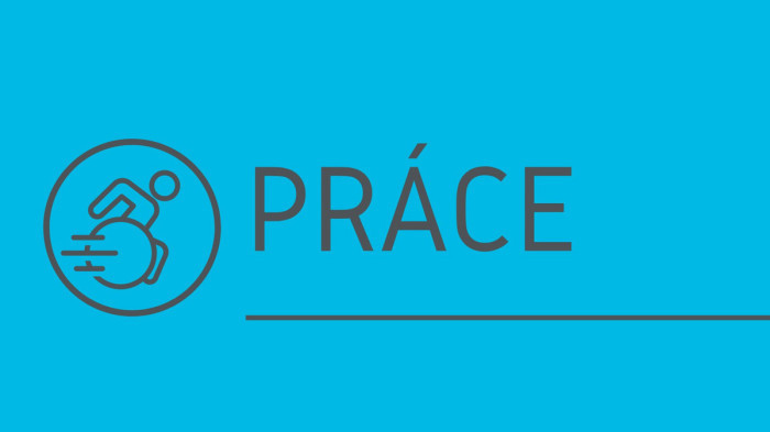 banner-prace-modry_13.jpg-700x393_12.jpg
