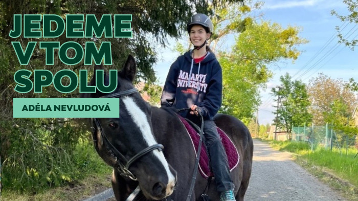 JVTS_Nevludová