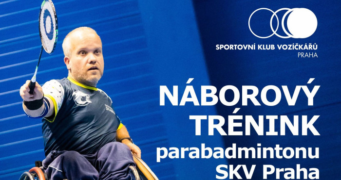 parabadminton-2_1.jpg