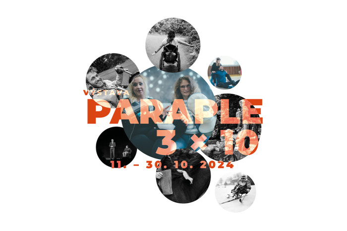 paraple-3x10.jpg