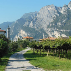 Riva del Garda - cesta na sever mezi vinice a olivovníky (pohled od severu na jih)