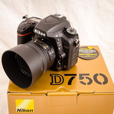 nikon-d750.112_1.jpg