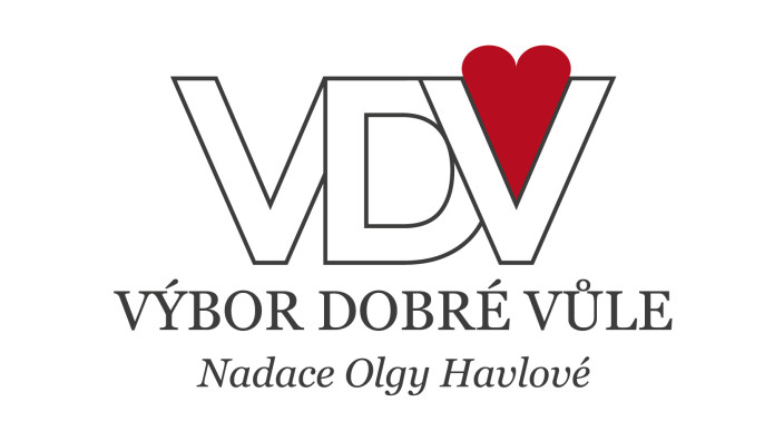 vdv-logo-2017_1.jpg